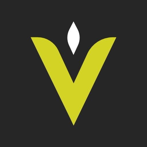 VZB